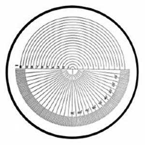 Reticle#9 (10x Comparator)